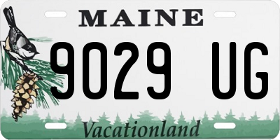 ME license plate 9029UG
