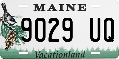 ME license plate 9029UQ