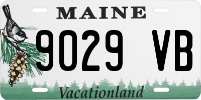 ME license plate 9029VB