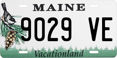 ME license plate 9029VE