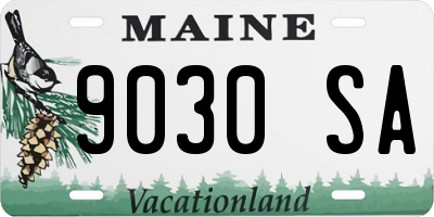 ME license plate 9030SA