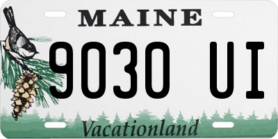 ME license plate 9030UI