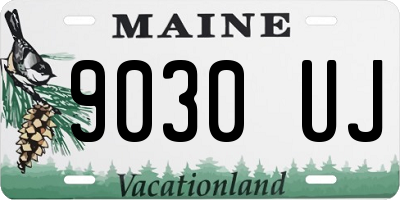 ME license plate 9030UJ
