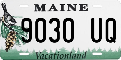 ME license plate 9030UQ