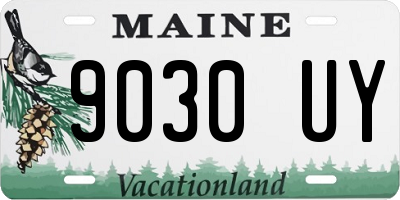 ME license plate 9030UY