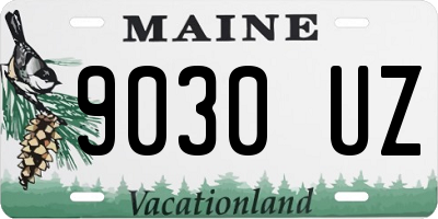 ME license plate 9030UZ