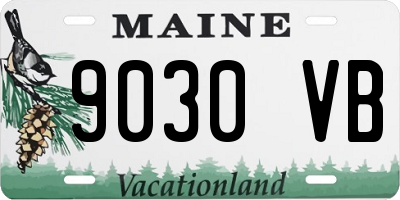 ME license plate 9030VB