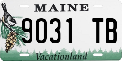 ME license plate 9031TB
