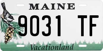 ME license plate 9031TF