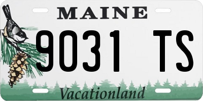 ME license plate 9031TS