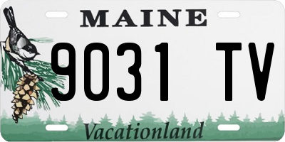 ME license plate 9031TV