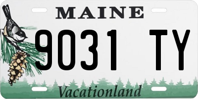 ME license plate 9031TY