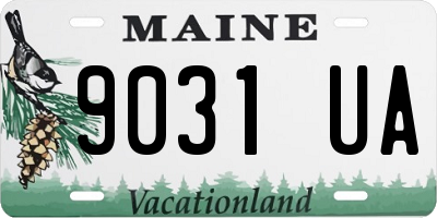 ME license plate 9031UA