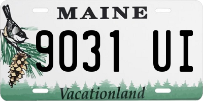 ME license plate 9031UI