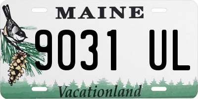 ME license plate 9031UL