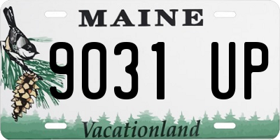 ME license plate 9031UP