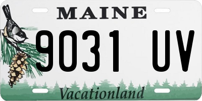 ME license plate 9031UV