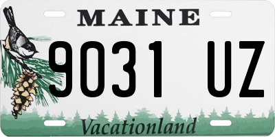 ME license plate 9031UZ