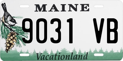 ME license plate 9031VB