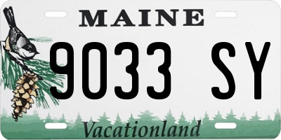 ME license plate 9033SY