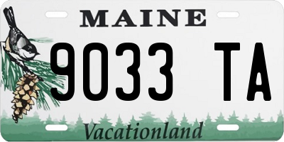 ME license plate 9033TA