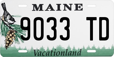 ME license plate 9033TD