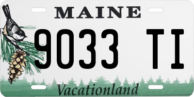 ME license plate 9033TI