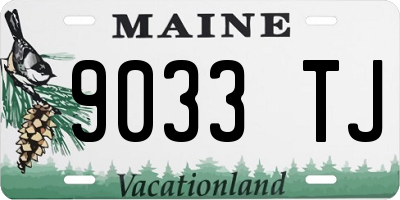 ME license plate 9033TJ