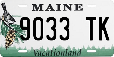 ME license plate 9033TK