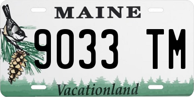 ME license plate 9033TM