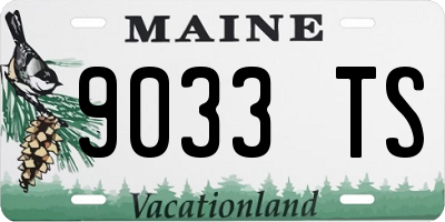 ME license plate 9033TS