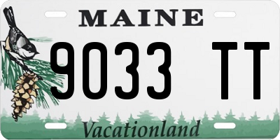 ME license plate 9033TT