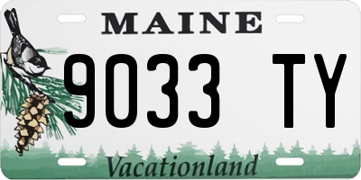 ME license plate 9033TY