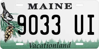 ME license plate 9033UI