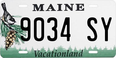 ME license plate 9034SY