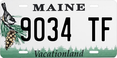 ME license plate 9034TF