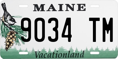 ME license plate 9034TM