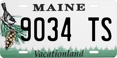 ME license plate 9034TS