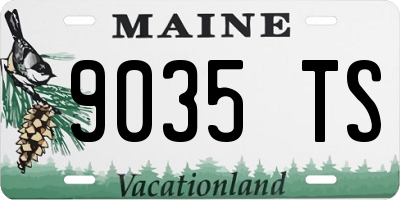 ME license plate 9035TS