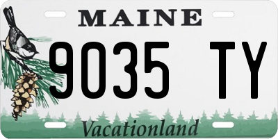 ME license plate 9035TY