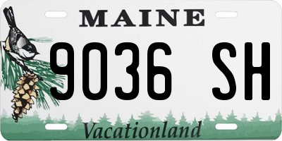 ME license plate 9036SH
