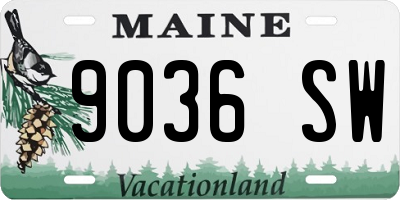 ME license plate 9036SW