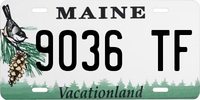 ME license plate 9036TF