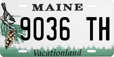 ME license plate 9036TH
