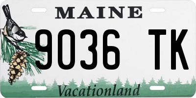 ME license plate 9036TK