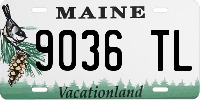 ME license plate 9036TL