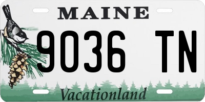 ME license plate 9036TN