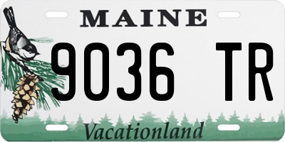 ME license plate 9036TR