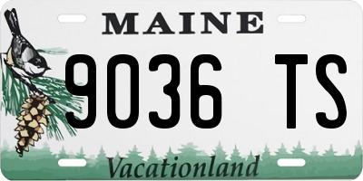 ME license plate 9036TS