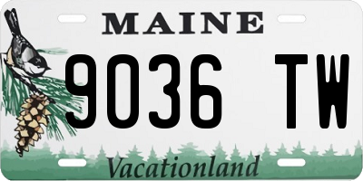 ME license plate 9036TW